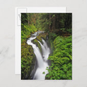Sol Duc-Herfsten in het Nationaal Park van de Olym Briefkaart (Voorkant / Achterkant)