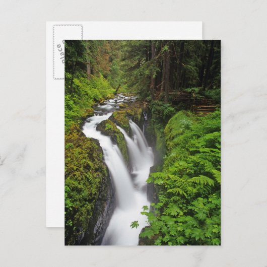 Sol Duc-Herfsten in het Nationaal Park van de Olym Briefkaart (Voorkant / Achterkant)