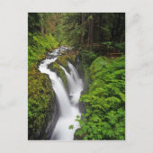 Sol Duc-Herfsten in het Nationaal Park van de Olym Briefkaart (Voorkant)