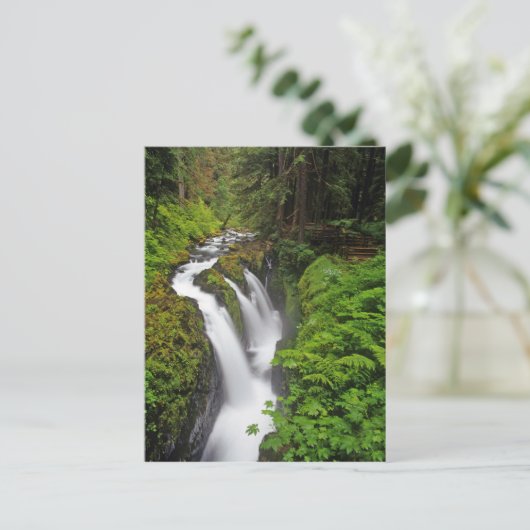 Sol Duc-Herfsten in het Nationaal Park van de Olym Briefkaart (Staand voorkant)