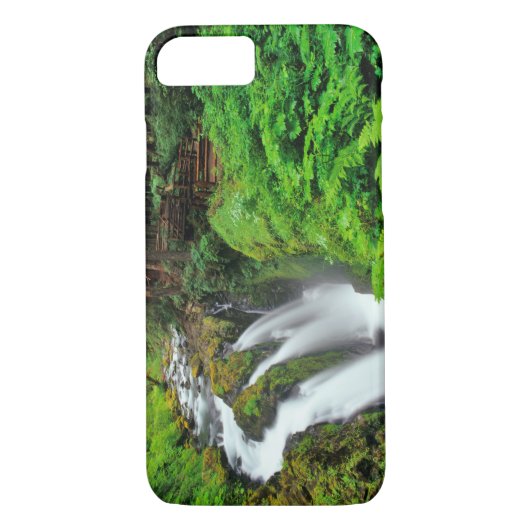 Sol Duc-Herfsten in het Nationaal Park van de Olym Case-Mate iPhone Case (Achterkant)