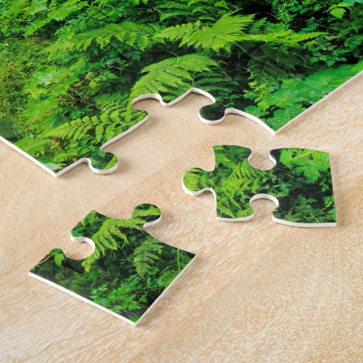 Sol Duc-Herfsten in het Nationaal Park van de Olym Legpuzzel (Zijkant)