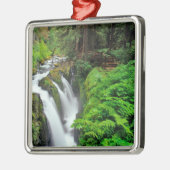 Sol Duc-Herfsten in het Nationaal Park van de Olym Metalen Ornament (Links)