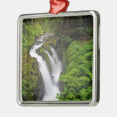 Sol Duc-Herfsten in het Nationaal Park van de Olym Metalen Ornament (Links)