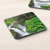 Sol Duc-Herfsten in het Nationaal Park van de Olym Onderzetter (Linkerzijde)