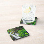 Sol Duc-Herfsten in het Nationaal Park van de Olym Onderzetter (Rechterzijde)