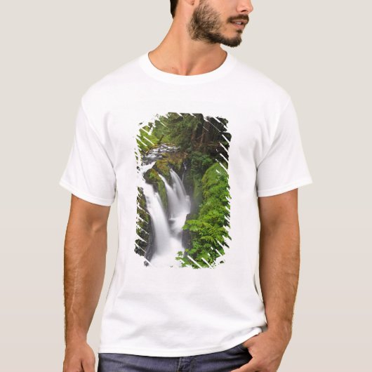 Sol Duc-Herfsten in het Nationaal Park van de Olym T-shirt (Voorkant)