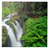 Sol Duc-Herfsten in het Nationaal Park van de Olym Tegeltje (Voorkant)