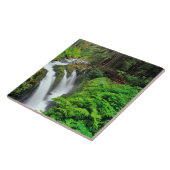 Sol Duc-Herfsten in het Nationaal Park van de Olym Tegeltje (Zijkant)