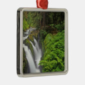 Sol Duc-Herfsten in het Nationaal Park van het Oly Metalen Ornament (Rechts)