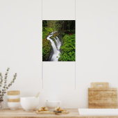 Sol Duc-Herfsten in het Nationaal Park van het Oly Poster (Keuken)