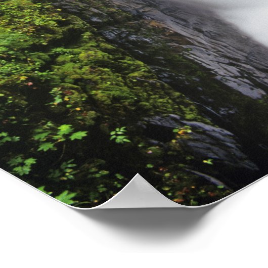 Sol Duc-Herfsten in het Nationaal Park van het Oly Poster (Hoek)