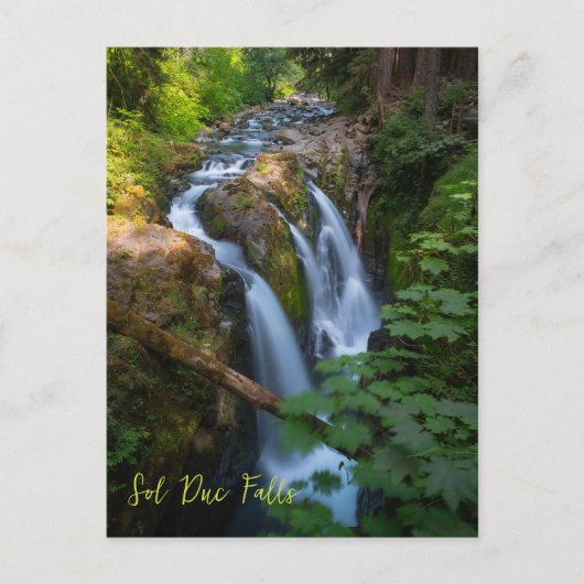 Sol Duc Herfsten Olympic National Park Briefkaart (Voorkant)