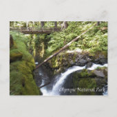 Sol Duc Herfsten, Olympic National Park Reizen Briefkaart (Voorkant)