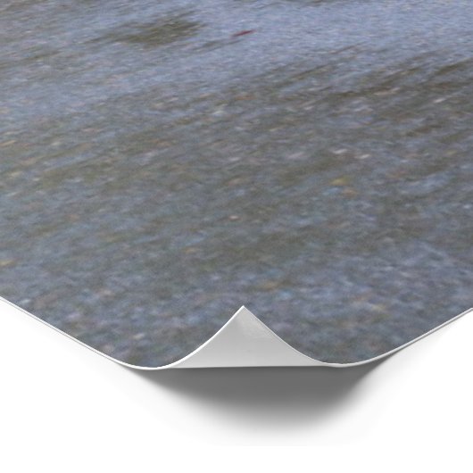 Sol Duc River Road door het bos Poster (Hoek)