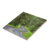 Sol Duc River Road door het bos Tegeltje (Zijkant)