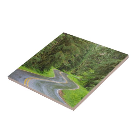 Sol Duc River Road door het bos Tegeltje (Zijkant)