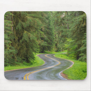 Sol Duc Rivierweg door bos Muismat
