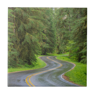 Sol Duc Rivierweg door bos Tegeltje