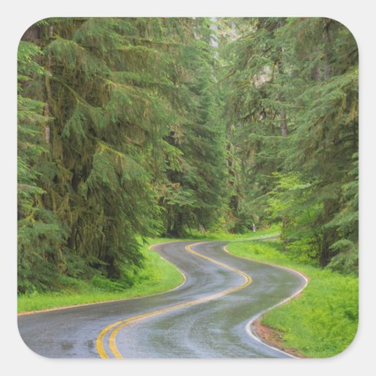 Sol Duc Rivierweg door bos Vierkante Sticker (Voorkant)