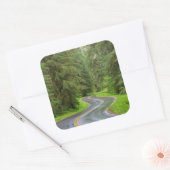 Sol Duc Rivierweg door bos Vierkante Sticker (Envelop)