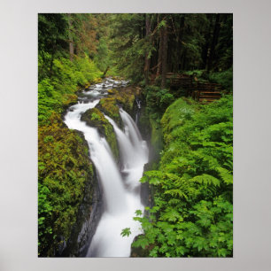 Sol Duc-watervallen in Olympic National Park in 2 Poster