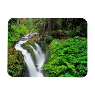 Sol Duc-watervallen in Olympic National Park in Magneet
