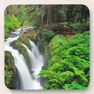 Sol Duc-watervallen in Olympic National Park in Onderzetter