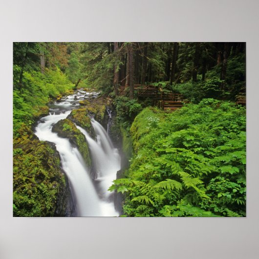 Sol Duc-watervallen in Olympic National Park in Poster (Voorkant)