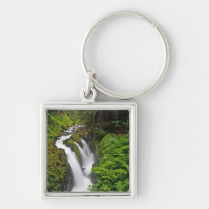 Sol Duc-watervallen in Olympic National Park in Sleutelhanger