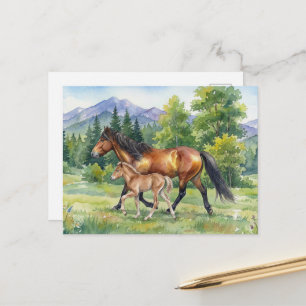 Sola IJslands paard en veulen in bergweide Briefkaart