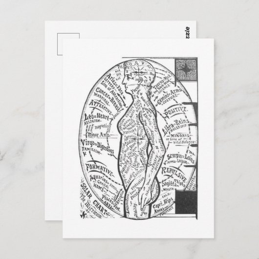 "Solar Chart: De microkosmos" Zodiac Astrology Briefkaart (Voorkant / Achterkant)