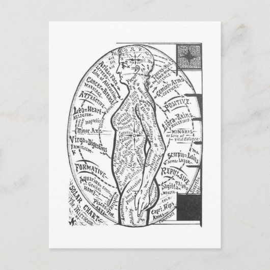 "Solar Chart: De microkosmos" Zodiac Astrology Briefkaart (Voorkant)