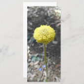 Solar Punk bedankkaart (Voorkant / Achterkant)