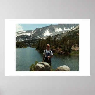 solardog in de buurt van houtlijn poster