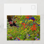 Solarized Red Berries, Mark Edward Westerfield Briefkaart (Voorkant / Achterkant)