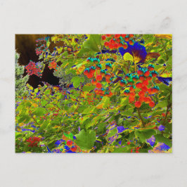 Solarized Red Berries, Mark Edward Westerfield Briefkaart