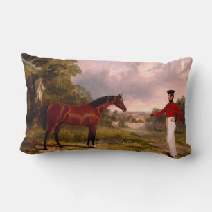 Soldaat met het paard van een officier kussen