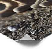 Soldaten van het Afghaanse nationale leger voor lu Poster (Hoek)