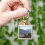 soldaten voeren communicatieapparatuur uit sleutelhanger (Hand)