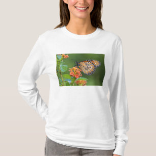 Soldier (Danaus eresimus) vlinder voedt zich T-shirt