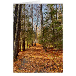 Soldotna Creek Park Autumn - 5" x 7" Art Kaart