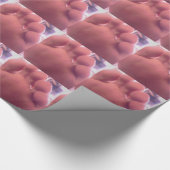 SOLE CADEAUPAPIER (Hoek)