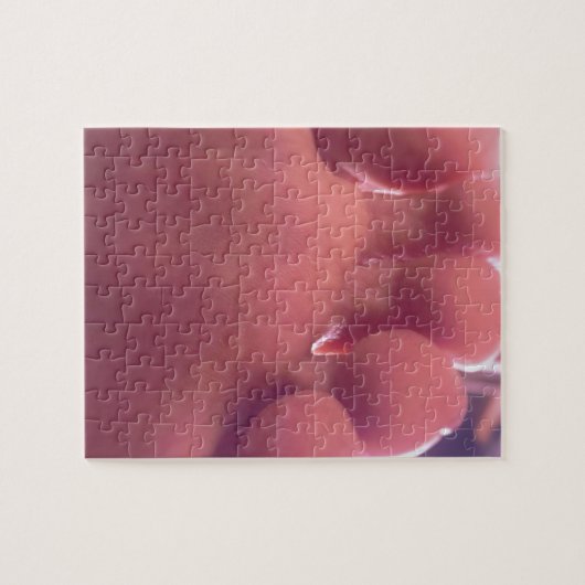 SOLE LEGPUZZEL (Horizontaal)