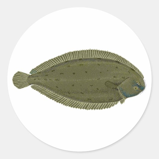 Sole Ronde Sticker (Voorkant)