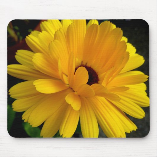 Soleil couchant. muismat (Voorkant)