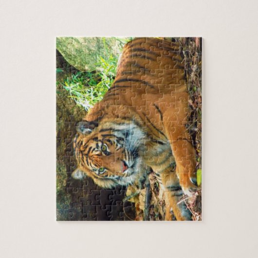 Solemn Tiger Puzzle Legpuzzel (Verticaal)