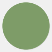 Solid Boston fern rustige groen Ronde Sticker (Voorkant)