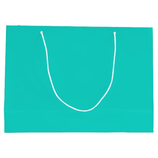 Solid bright turquoise groot cadeauzakje (Achterkant)