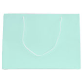 Solid cameo green mint soft turquoise groot cadeauzakje (Voorkant)